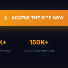 Pirate Sites’ Domain Hopping Habit Undermines Belgium’s New Blocking Order