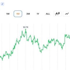 SUI Trader Eyes $5 Target as Expert Sees ‘Early Recovery Signs’