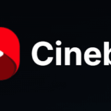 MPA Takes Credit for Shutting Down Piracy Giants AnimeFLV and Cineby