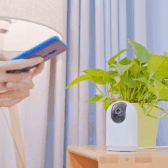 Interior Photos Can Reveal a Home Address, a Police AI Test Shows